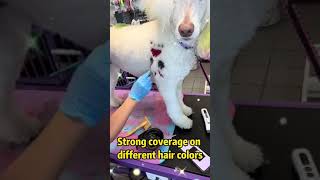 OPAWZ Permanent Dog Hair Dye For Halloween Creation