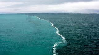 why ocean and river waters do not mix ? (Halocline)