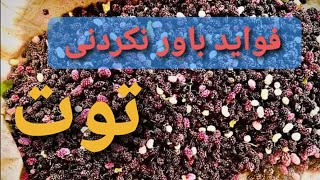 فواید باور نکردنی توت، در این فصل توت این ویدیو را حتماً ببینید!