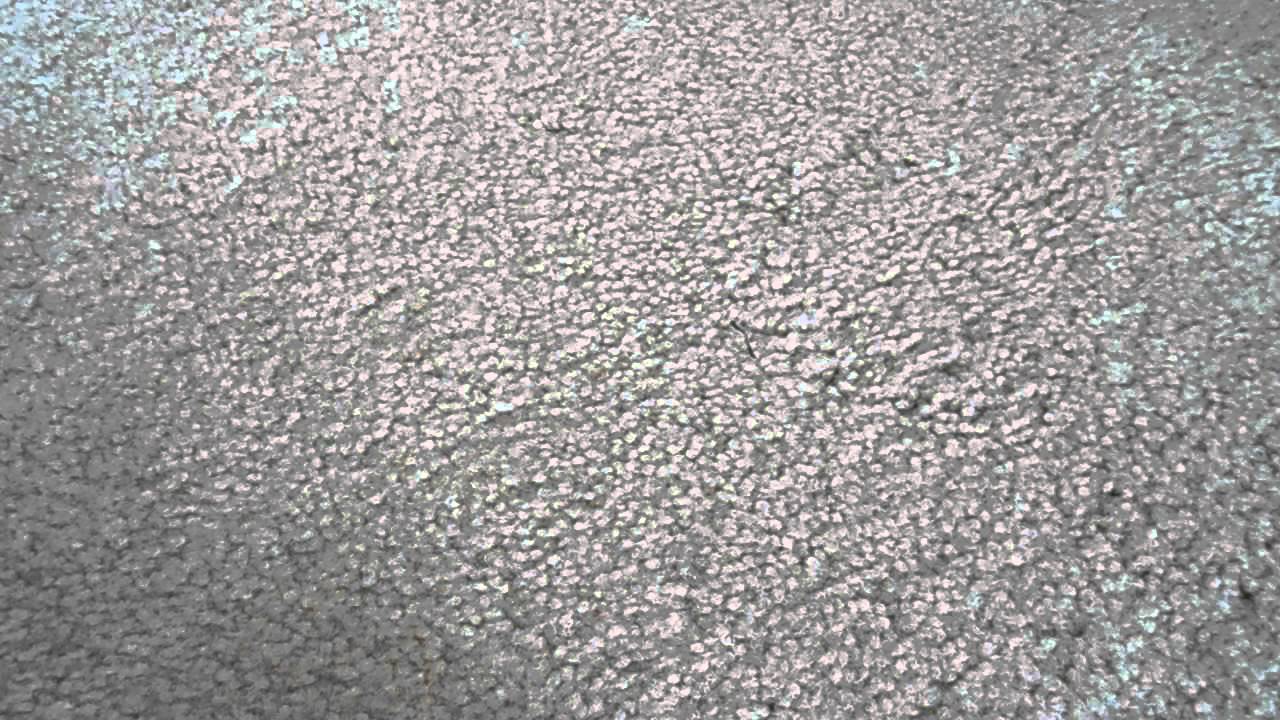 Rant Fanbases Youtube