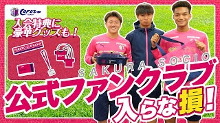 公式ファンクラブ SAKURA SOCIO2024を徹底解剖！