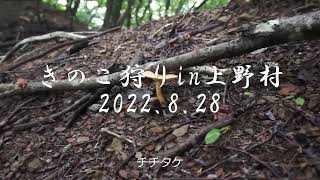 きのこ狩in上野村(2022.8.28)