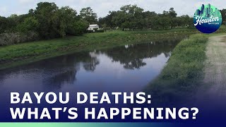 Why Are Bodies Showing Up in Houston Bayous?