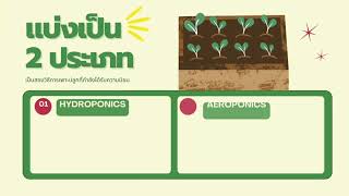 01001317 ผู้นำกับการพัฒนาภาคการเกษตร นวัตกรรมที่นิสิตชื่นชอบ (การปลูกพืชไร้ดิน)