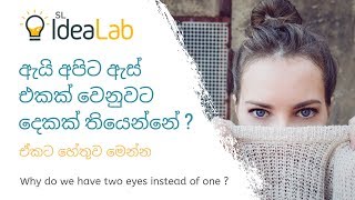 ඇයි අපිට ඇස් එකක් වෙනුවට දෙකක් තියෙන්නේ ?  Why do we have two eyes instead of one ?