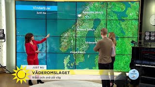 Blåst och snö på väg – ”närmar sig med stormsteg” - Nyhetsmorgon (TV4)