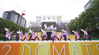 [4K] 桜家一門YOSAKORI隊  にっぽんど真ん中祭り どまつり 2022 土曜日