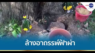 ทำพิธีฝังหินขุดดินต้นกันเกรา ล้างอาถรรพ์ฟ้าผ่า