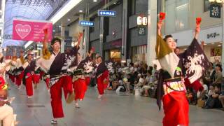 高知　よさこい祭り2010　銀賞　ＮＴＴドコモ高知支店