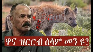 ናይሮቢ፡ ዋና ዝርርብ ሰላም መን ዩ? #Alenamediatv #Eritrea #Ethiopia #Tigrai