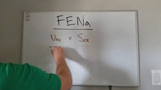 FENa- Mnemonic for Fractional Excretion of Sodium (Na)