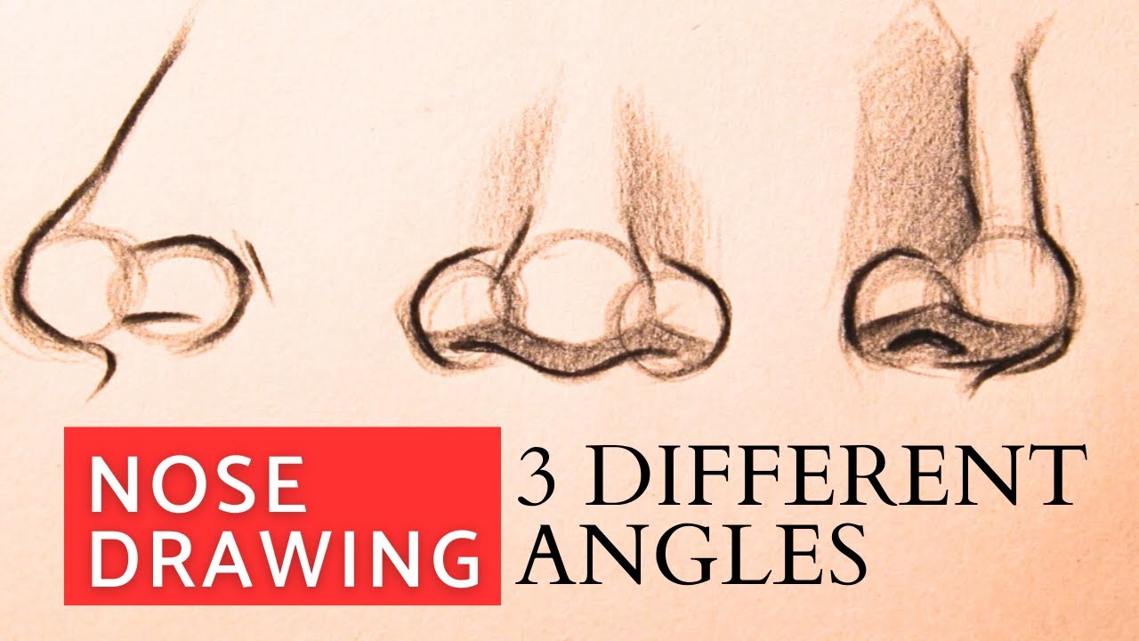How To Draw Nose Noses From Different Angles Nose Drawing Easy Step