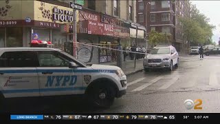 Girl, 11, killed by stray bullet in the Bronx