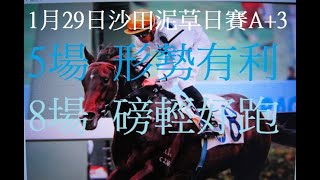 賽馬貼士(米奇論馬):29/1/2023 提供第5場及第8場連贏,三重彩及四重彩投注心水推介