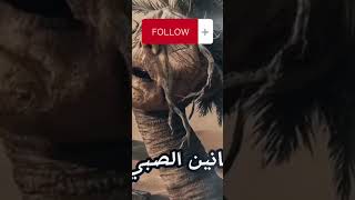 أجمل 3قصص قصيرة ممكن تسمعها فى حياتك 😍