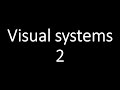 Visual systems 2