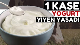 Günde 1 Kase Yoğurt Yemek Vücudunuza Bunları Yapıyor | Yoğurdun Faydaları Nelerdir?