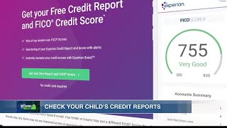 Experts warn identity thieves target children due to clean financial history