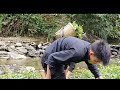 homeless boy and the poor girl picked vegetables along the stream to sell and buy eggs for cooking