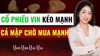 Chứng Khoán Hàng Ngày: VNIndex Hồi Phục - Top Cổ Phiếu Tiềm Năng, Lại Sóng Vingroup
