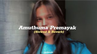 Amuthuma premayak (අමුතුම ප්‍රේමයක් මෙක) Slowed \u0026 Reverb Version ~ 💗🎧@Zantamusic1