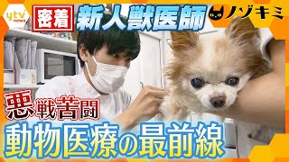 動物病院の新人獣医師に密着　ペットの病に向き合い、託されたケア　悪戦苦闘の日々に密着【かんさい情報ネットten./ノゾキミ】