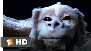 The Neverending Story (4/10) Movie CLIP - Falkor the Luck Dragon (1984) HD