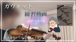 次の曲はベートーヴェンのガヴォットです【大人からやりなおすヴァイオリン】