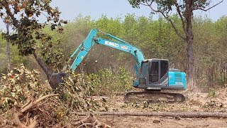 พามาดูรถขุด kobelco sk140lc-10 กับงานขุดตอไม้ใหญ่excavator