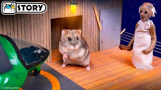 🐹 Hamster Escapes the Granny Maze with Grandpa 🐹 Homura Ham Pets