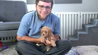 Tina Litter Update