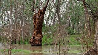 Lake Broadwater  2022 Day Trip