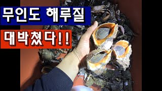 무인도 해루질 소라 대박 터졌다!! Sea creatures Catch!