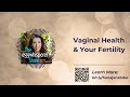 the surprising link between vaginal health and your fertility infertility fertilityjourney ttc