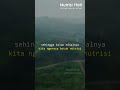 Nutrisi Hati - Ustadz Hanan Attaki