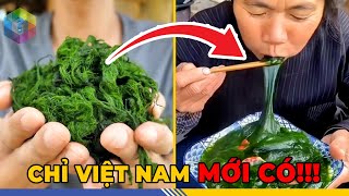 99% Người Việt Nam Chưa Biết 7 Món Ăn Kỳ Lạ Độc Đáo Nhất Của Nước Mình - Top 1 Khám Phá