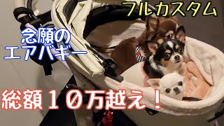 2ヶ月待ち！フルカスタムエアバギー届いた！【チワワ】【犬】【dog】【chihuahua】【多頭飼い】