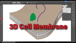 Cell Membrane in Adobe Illustrator