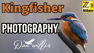 Kingfisher Photography with POPS