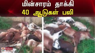 மின்சாரம் தாக்கி 40 ஆடுகள் பலி | 40 Goats Killed by Electricity