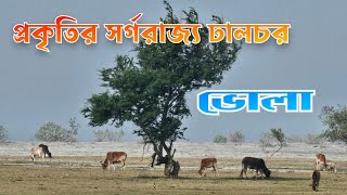 ভোলার ৮০০ বছরের চর কুকরী মুকরী ও ঢালচর এ যেনো আরেক সুন্দরবন | ঢালচরে ভ্রমণ পর্ব-৫