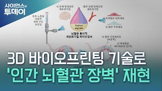 3D 바이오프린팅 기술로 '인간 뇌혈관 장벽' 재현 / YTN 사이언스