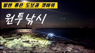 발판 좋은 도보권 갯바위에서 만난 어종 ! 원투낚시