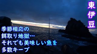 【東伊豆】富戸上磯雀岩へ深夜乗り込みで美味しい魚狙い【2024年9月中旬】