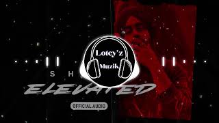 Elevated (BASS BOOSTED) - Shubh