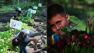 Niños cultivan huertos para sobrevivir a la pandemia en El Salvador | AFP