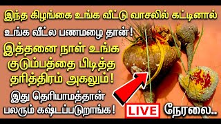 🔴இந்த கிழங்கை உங்க வீட்டுல கட்டி பாருங்க கஷ்டங்கள் விலகி வீட்டில் பண மழை பெய்யும்! LIVE in Tamil