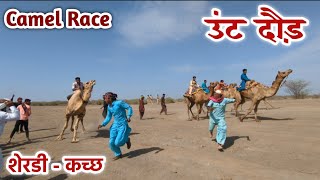 Camel Race | ऊंट दौड़ | शेरडी - कच्छ | The Hunter |