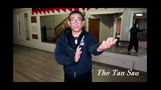 Tan Sau, Part 2 | Wing Chun Demonstrations