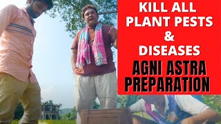 AGNI ASTRA PREPARATION - NATURAL WAY TO PROTECT CROPS FROM PEST AND DISEASES